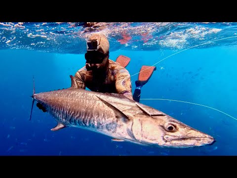 Spearfishing Samoa's Monster Mackerel & Tuna