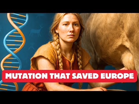 How This Strange Genetic Mutation Saved Europe | Lactase Persistence