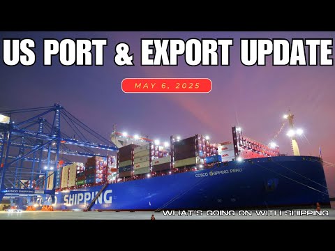 US Port & Export Update | Port Survey | Port LA & Savannah | Container Lines Realignment | Exports?