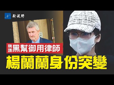 楊蘭蘭案驚天反轉操盤手曝光。身份再次出現新變化。辯護未開始，人先玩失踪！#楊蘭蘭 #脫罪專家 #中共 | 新視野 第2062期 20251128