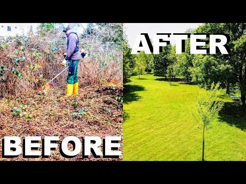 FROM OVERGROWN BRUSHLAND TO BEAUTIFUL BACKYARD: HOW TO REMOVE BUSH/TREES + LAY LAWN BY HAND YOURSELF