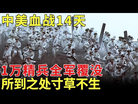 中美最惨烈一战，血战14天，美军上万精兵全军覆没，彭德怀回忆：所到之处寸草不生【历史档案】