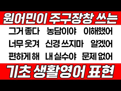 [영어회화] 영어가 처음이라면 이것부터 보세요 왕기초 영어 표현｜2탄
