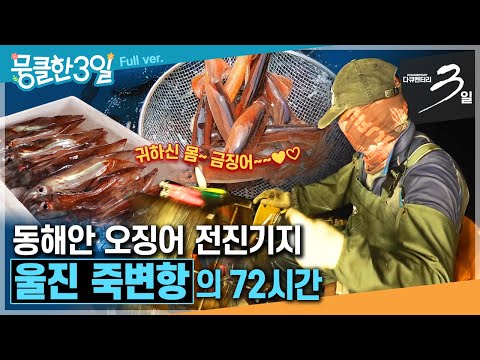 [다큐3일⭑Full] "없어서 못 팔아요!!" 🦑 귀한 몸값 '오징어'에 울고 웃는 사람들 🚢 ‘울진 죽변항'의 72시간 | KBS 방송