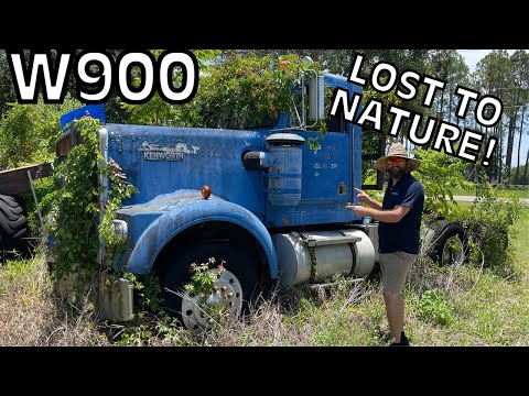 WILL IT START? 1981 Kenworth Semi truck