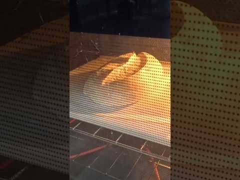 Homemade Sourdough Bread for ABSOLUTE Beginners with NO KNEADING & NO Dutch Oven