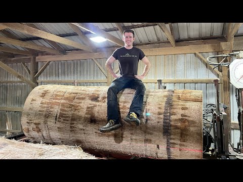 Sawing a Massive 41 Inch Diameter Red Oak into Lumber! #156