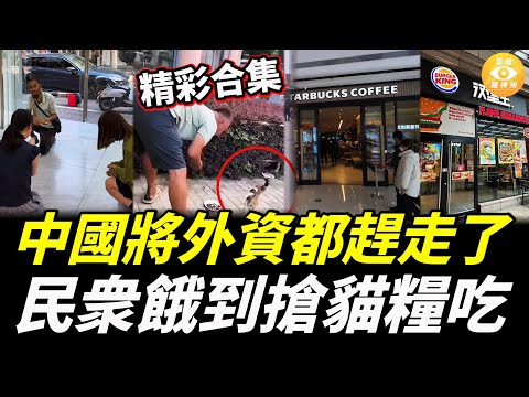 【精彩合集】中國將外資都趕走了，民衆餓到搶貓糧吃，星巴克土味十足，準備賣豆漿、油條了……