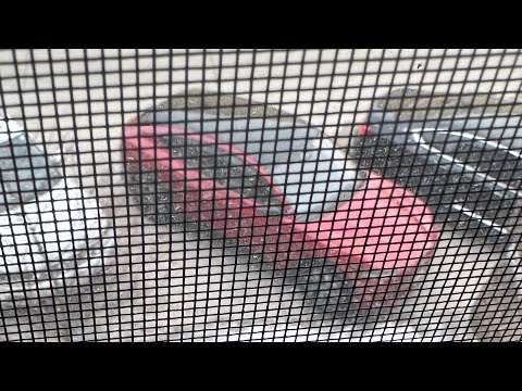 Mustang Mach E charging review, prices, charging differences, cold climate driving takes half energy