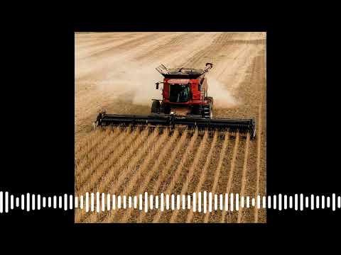 A Fifth Generation Farmer on Trump’s $12B Bailout | Big Take