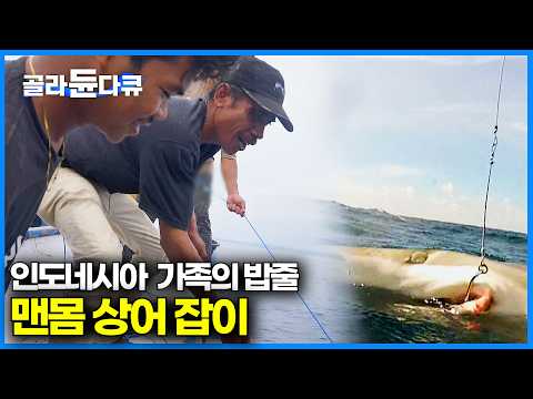 피투성이가 된 손! 마지막 기회에 상어와 맨몸으로 사투 벌이는 인도네시아 어부｜세계 유일 상어잡이 합법 마을｜학꽁치와 멸치 잡이｜인간과바다｜#골라듄다큐