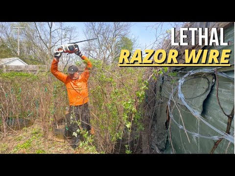 He Took Her Yard, Hid the Truth… and Walked Away leaving her in RUIN