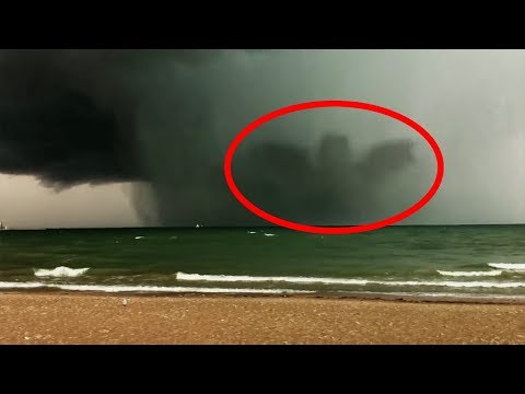 11 Giant Creatures Caught on Tape
