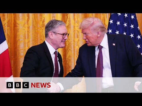 UK temporarily spared from Donald Trump's 50% steel tariffs | BBC News