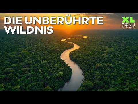 4+ Stunden Doku: Der Amazonas-Regenwald - Wunder der Natur | XL Doku Deutschland