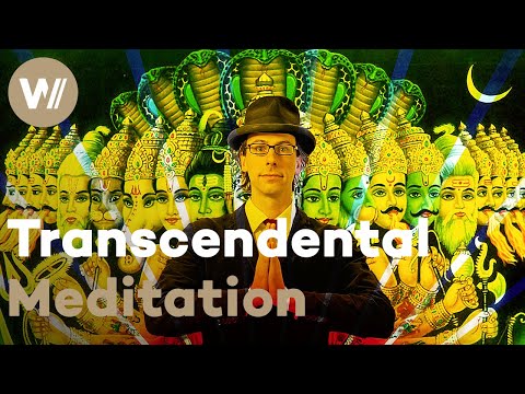 Journey into the World of Transcendental Meditation - David Wants To Fly (Documentary, 2010)