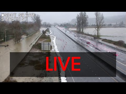 Seattle area traffic cams