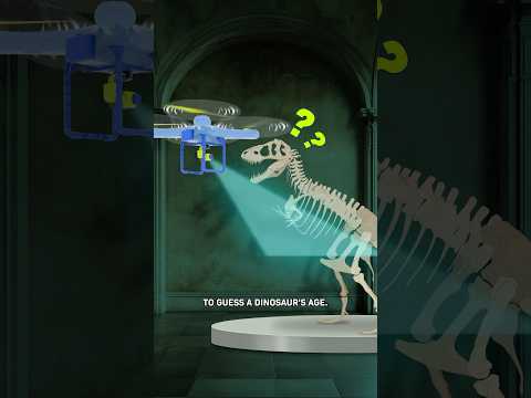 How To Guess A Dinosaur's Age