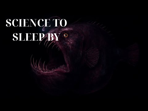 The Mystery Of The Deep Sea | Science For Sleep