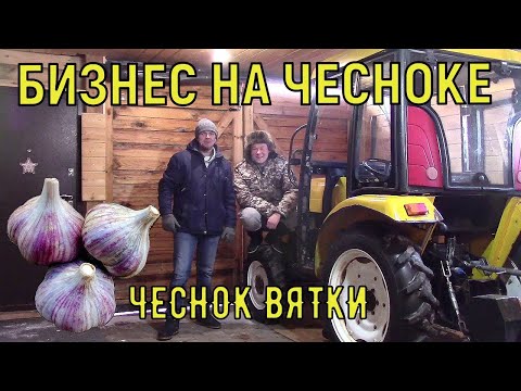 ВЫРАЩИВАНИЕ ЧЕСНОКА - КАК ПРОДАВАТЬ МНОГО И ДОРОГО. БИЗНЕС В ДЕРЕВНЕ