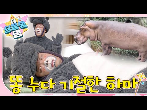 똥을 누다 기절한 하마 환자가 도착했어요!ㅣ딩동댕 딩동댕ㅣ똥 누다 기절한 하마
