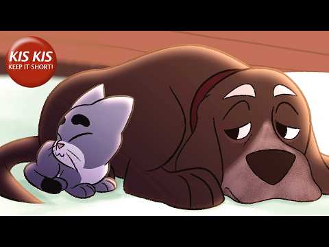 Cat and dog share a heartbreaking bond | Still with you - Animated Short Film by Ryan Livesay