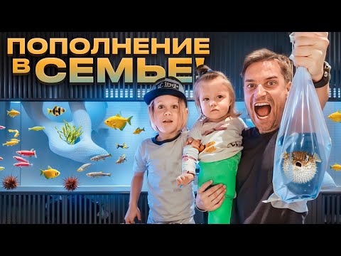 Построил Аквариум на 2 Тонны. Покупка Рыб на Птичьем Рынке.