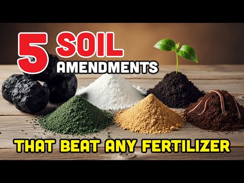 5 Minerals That SUPERCHARGE Your Harvest in Just 30 Days