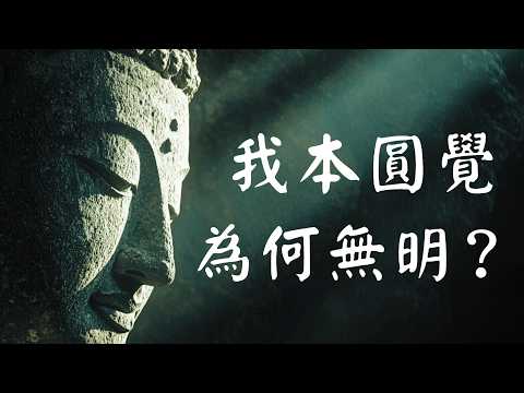 《圆觉经》深度讲解：大乘根器开悟的秘密！#圆觉经 #了义经 #开悟 #无明 #禅定