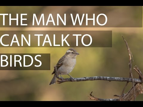 The man who can talk to birds. Amazing talent
