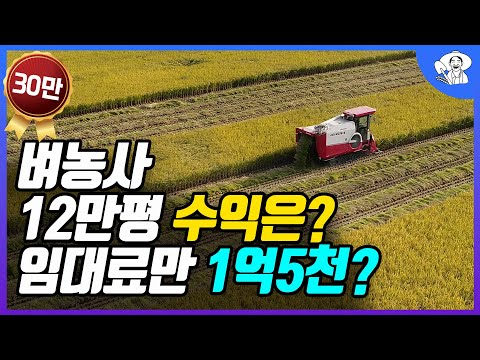 12만평 벼농사 지으면 수익은? 임차료 내고 나면 내손에 얼마 남을까?