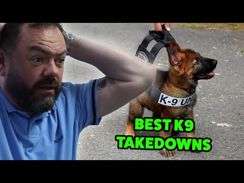 BRITS React to 20 Minutes of the Best K9 Takedowns