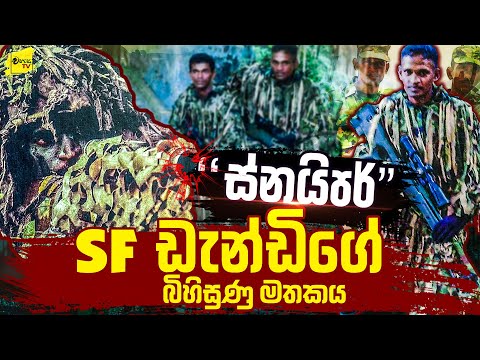 ස්නයිපර් SF ඩැන්ඩිගේ බිහිසුණු මතකය | WANESA TV