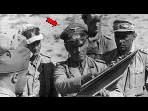 Rommel Tested Captured Sherman — Then Warned Berlin About America's 48-Hour Production