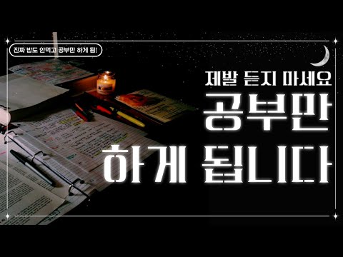 제발 듣지 마세요. 밥도 안먹고 공부만 하게 됩니다