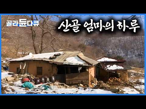 고양이 빼고 아무도 없다. 새막골 오지 사는 어머니의 하루｜자식들에게 부친 택배에 든 것｜영화 집으로 배경지｜한국기행｜#골라듄다큐