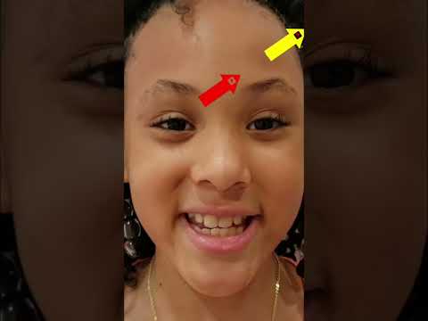 Learn to Count to 5 with Animals #ZZKidTV #googoocolors #googoofriends #shortvideo