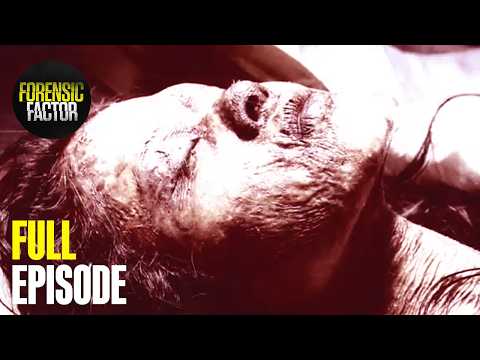 Binge Brutal True Crime Stories All Night | Season 3 Marathon (All Episodes) | Forensic Factor