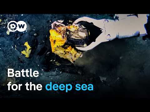 Deep sea mining: What’s the true cost of renewable energies? | DW Documentary