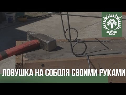 Ловушка на соболя своими руками
