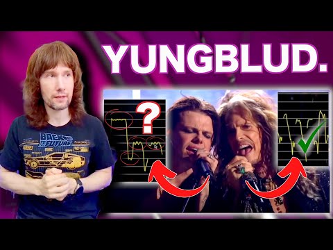 Using Auto-Tune Live. Authentic... or not?