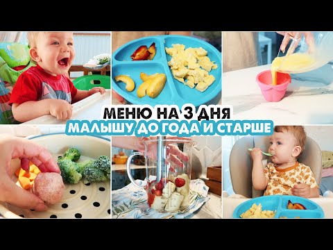 👶BABY MENU FOR A CHILD UP TO ONE YEAR AND OLDER🍏FOR 3 DAYS🥦OUR MENU AT 10 MONTHS