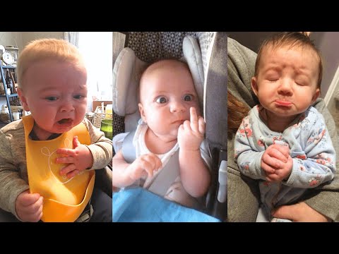 Funniest Baby Fails of the Month – Try Not to Laugh🤣