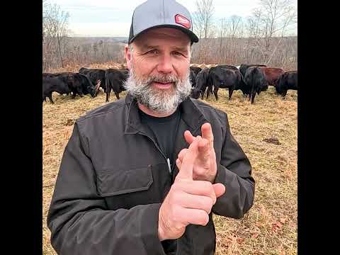 The Stress of Farming is Real....Buying more Land?  Deal is off!