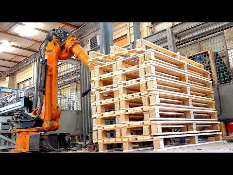 Turning Massive Trees into Wooden Pallets – Unbelievable process!