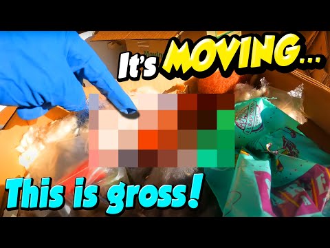 This is DISGUSTING... Smells like death in here!