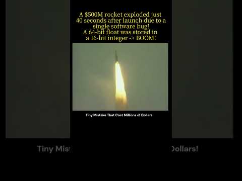 $500 Million dollar bug !