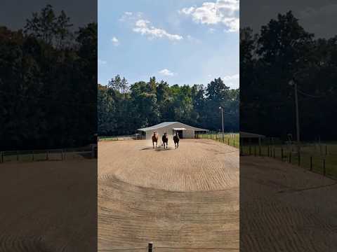Horse Ranch for Sale: 296 Mulberry Rd Hazel Green Alabama - Melissa Burt Leading Edge Real Estate