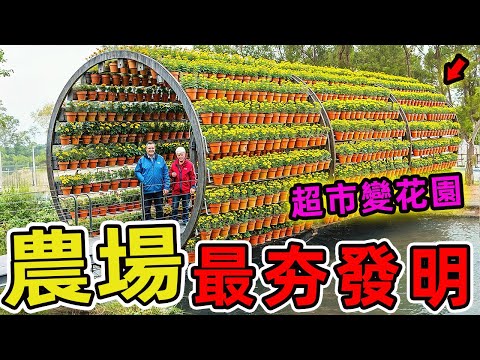 24個你從未見過的驚人農場。第一名將超市變成自家菜園，第六名讓番茄在旱災中豐收，第二十名甚至把農場開進海底！|好奇風向標 #世界之最 #出類拔萃 #腦洞大開 #top10 #科技 #農場