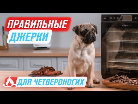 🐶 DIY Dog Treats | Dried Meat in the RAWMID RMD-10 Dehydrator